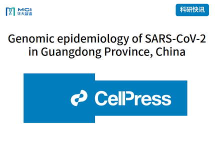 科研快訊 | MGISEQ-2000助力廣東省新冠病毒基因組流行病學(xué)的首次揭示