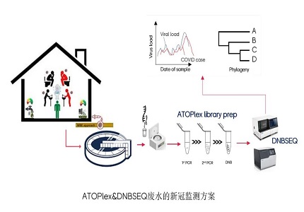 在南非廢水發(fā)現(xiàn)Omicron！華大智造ATOPlex技術 + DNBSEQ平臺革新廢水流行病學研究方法