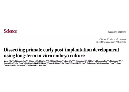 Science | 華大智造測序平臺助力解析植入后胚胎發(fā)育過程