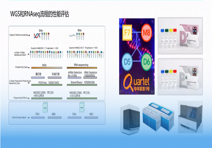 引入中華家系1號作標準物質，華大智造推動高通量測序流程標準化建設