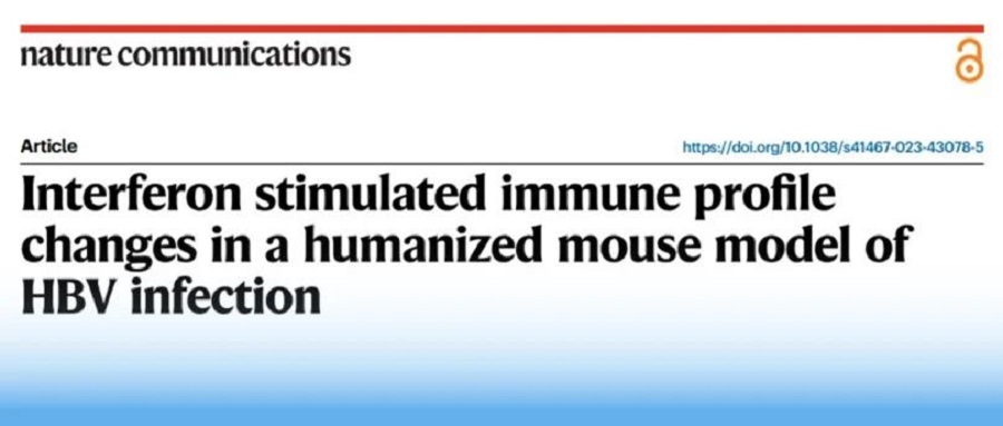 賦能科研 | 基于華大智造單細(xì)胞及測序平臺，廣州市八醫(yī)院等機(jī)構(gòu)發(fā)表慢乙肝干擾素功能性治愈研究的最新成果