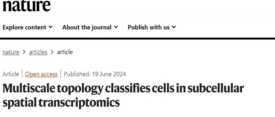 Nature | Stereo-seq助力牛津大學(xué)人類遺傳學(xué)中心等機(jī)構(gòu)采用多尺度拓?fù)鋵W(xué)實(shí)現(xiàn)細(xì)胞分類