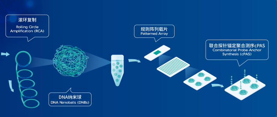 基于華大智造DNBSEQ技術(shù)，三款國(guó)產(chǎn)測(cè)序儀獲批國(guó)家藥監(jiān)局醫(yī)療器械注冊(cè)證！