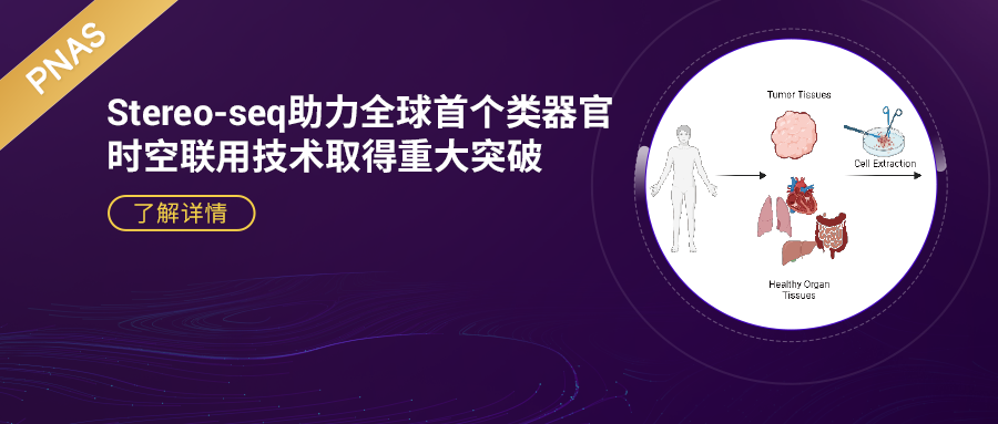 PNAS | 華大攜手清華深研院等構(gòu)建全球首個類器官-時空聯(lián)用技術(shù)，助力精準(zhǔn)醫(yī)療和藥物開發(fā)