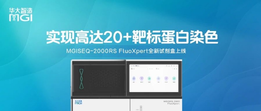 MGISEQ-2000RS FluoXpert全新試劑盒上線，實現(xiàn)高達(dá)20+靶標(biāo)蛋白染色