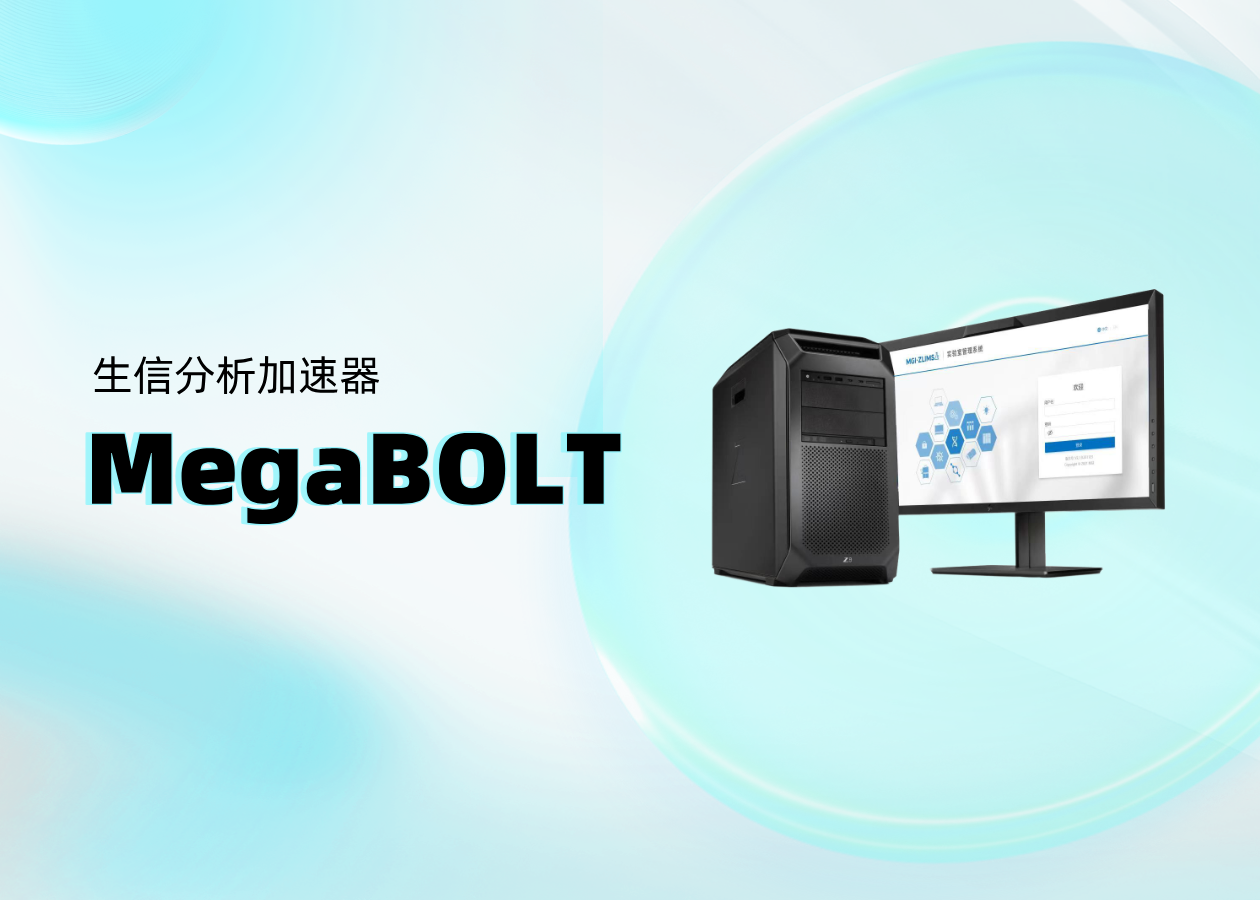 你問我答 | MegaBOLT生信分析加速器常見問題盤點(diǎn)！（下篇）